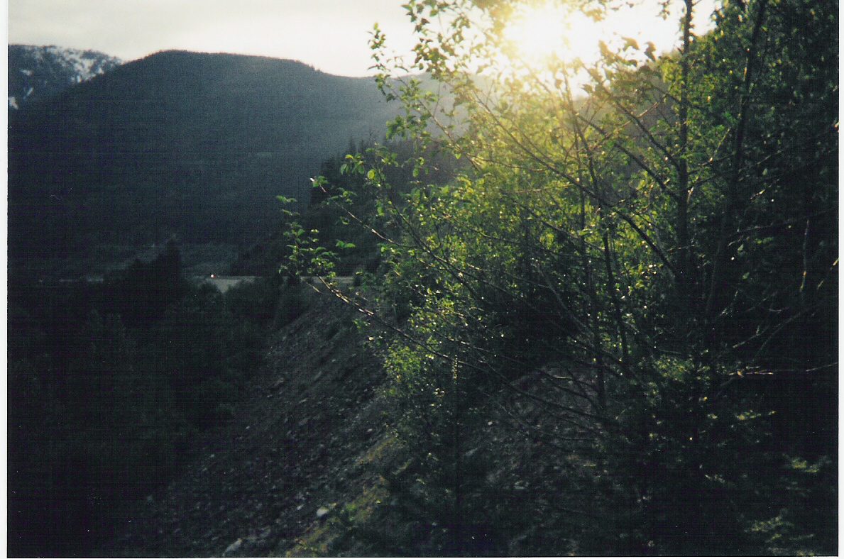 scan0004.jpg